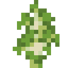 BIRCH_SAPLING