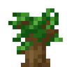 DARK_OAK_SAPLING