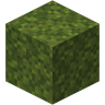MOSS_BLOCK