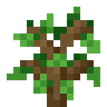 OAK_SAPLING